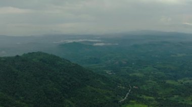 Taze yeşil yapraklar, tropikal bitkiler ve ağaçlar üzerinde yapılan hava araştırmaları dağlar ve vadiyi kaplıyor. Mindanao, Filipinler.
