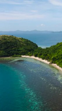 Kıyı şeridinde küçük dağ ormanı ve plajı olan bir ada. Coron, Palawan 'daki Dimanglet Adası. Filipinler. Dikey görünüm.