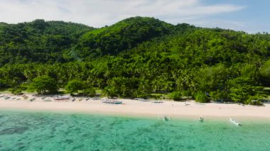 Geleneksel tekneleri, beyaz kumları ve tropikal bitkileri olan sahil şeridi plajı. Cobrador Adası, Romblon, Filipinler.