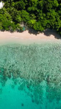 Talipasak Sahili Resort 'taki mercanlı berrak su manzarası güneş yansımalı. Romblon, Romblon. Filipinler. Dikey görünüm.