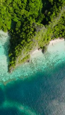 Coron 'da tekneli plajların havadan görüntüsü. Smith Point Sahili. Sahil 91. Palawan 'da. Filipinler. Dikey görünüm.