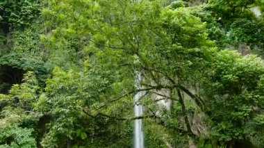 Camiguin Adası 'nda ağaçlarla çevrili serinletici soğuk sularla dolu bir şelale. Katibawasan Şelalesi. Filipinler