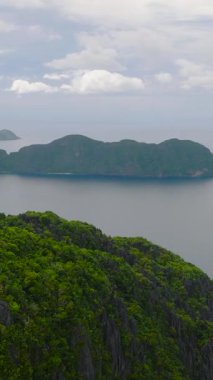 Yeşil ormanı olan tropik bir ada. Miniloc Adası. El Nido, Palawan. Filipinler. Dikey görünüm.