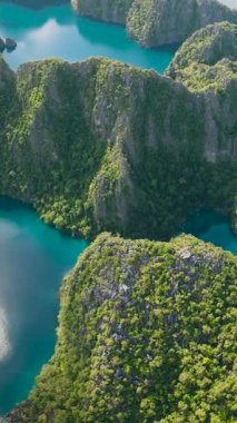Kayangan Gölü ve Barracuda Gölü kireçtaşı kayalarıyla çevrili. Coron, Palawan. Filipinler. Dikey görünüm.