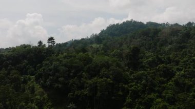 Açık yamalı ormanlık tepeler ve parlak bir gökyüzünün altında görünen uzak dağ tepeleri. Ko Samui, Tayland.