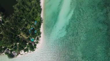 Sahil şeridi boyunca sığ turkuaz suların altındaki mercan resifi yapılarının ayrıntılı görüntüsü. Zen Sahili. Ko Pha Ngan, Tayland.