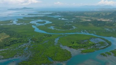 Mangrov ve yağmur ormanlarının çarpıcı oluşumu. Büyük Set Resifi ve Mavi Deniz. Mindanao, Filipinler.