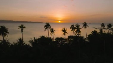 Deniz ve hindistan cevizi ağaçlarının üzerinde altın gün batımının manzarası. Santa Fe, Tablas, Romblon. Filipinler.
