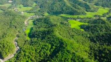 Yeşil tepeler ve pirinç tarlaları olan tarım arazileri. Santa Fe, Tablas, Romblon. Filipinler.