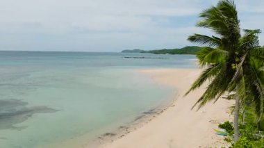 Hindistan cevizi ağaçlarıyla kıyı şeridi ve berrak okyanus dalgalarıyla beyaz kumlu plaj. Santa Fe, Tablas, Romblon. Filipinler.