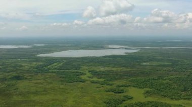 Agusan Bataklığı Vahşi Yaşam Sığınağı Filipinler 'de korunan bir bölge. Mindanao. Yukarıdan görüntüle.