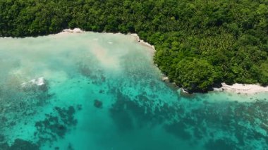 Yeşil ormanı ve kıyı şeridi olan, okyanus dalgaları ve turkuaz suyu olan bir ada. Samal, Davao. Filipinler.