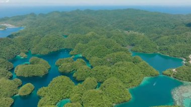 Yağmur ormanlarının manzarası ve turkuaz deniz suyuyla gölcükler. Bucas Grande Adası. Mindanao, Filipinler.