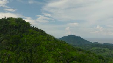 Tarım arazisi ve yeşil ormanlı dağların havadan görünüşü. Mindanao, Filipinler.