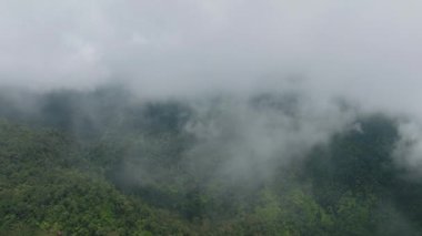 Yukarıdan bulutlarla kaplı dağ zirveleri. Dağlar yağmur ormanlarını ve ağaçları kapladı. Mindanao, Filipinler.