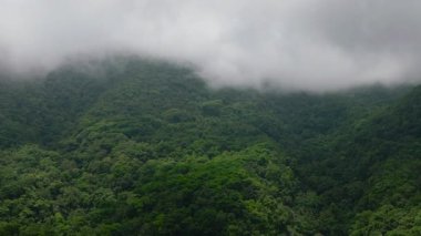 Camiguin Adası 'ndaki dağın üzerinden sisli hava manzarası. Filipinler.