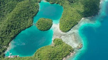 Tropikal Ada 'da güzel bir yağmur ormanı. Mercan kayalıkları olan gök mavisi bir deniz. Surigao del Norte. Mindanao, Filipinler.