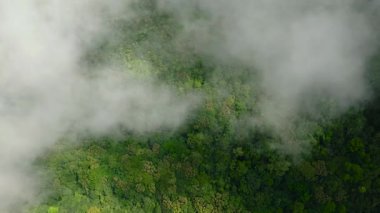Dağ yeşili orman ve ormanlar Camiguin Adası 'nda bulutlarla kaplıdır. Filipinler.