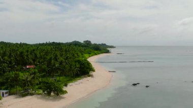 Santa Fe 'deki sahil beldesinde beyaz kumsalda hindistan cevizi ağaçları ve temiz suyun üzerinde bir tekne var. Masalar, Romblon. Filipinler.