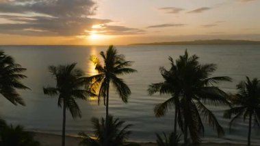 Hindistan cevizi ağaçlı tropik plaj. Santa Fe, Tablas, Romblon 'da denizin üzerinde bulutlu bir gün batımı. Filipinler.