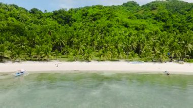 Kumsalda beyaz kumlu hindistan cevizi ağaçları ve berrak sularda tekneler. Cobrador Adası. Romblon, Filipinler.
