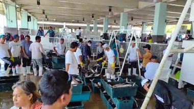 General Santos Şehri Balık Limanı Kompleksi 'ndeki insanların günlük hayatı. Filipinler.