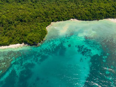 Yeşil ormanı ve kıyı şeridi olan, okyanus dalgaları ve turkuaz suyu olan bir ada. Samal, Davao. Filipinler.