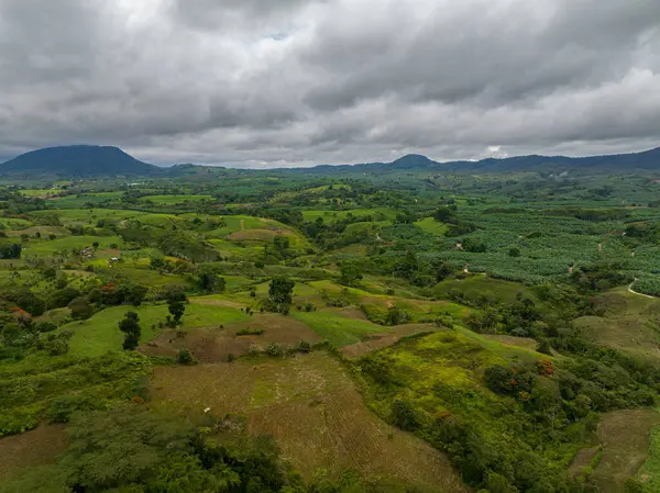 Çiftlik arazileri olan dağ vadisinin tropik manzarası. Yeşil yapraklar ve orman. Mindanao, Filipinler.