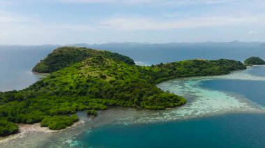 Turkuaz deniz suyu olan mercanlar. Yeşil orman ve ormanlı Dimanglet Adası. Coron, Palawan. Filipinler.
