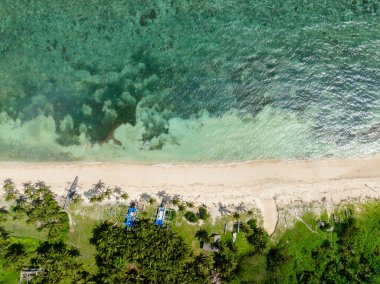 Sahilde mercanlar ve temiz su. Carabao Adası. Romblon. Filipinler.