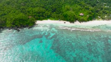 Carabao Adası 'ndaki Sea Garden ve Said Sahili. San Jose. Romblon, Filipinler.