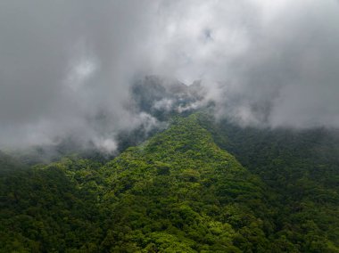 Camiguin Adası 'ndaki dağ yamaçlarında yağmur ormanlarıyla kaplı bulutlar. Filipinler. Yukarıdan görünüm.