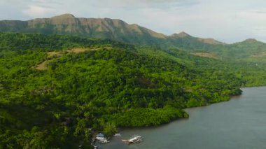Coron 'da kıyı şeridinde tekneler. Filipinler, Palawan 'daki yeşil ağaçlar ve ormanlar.