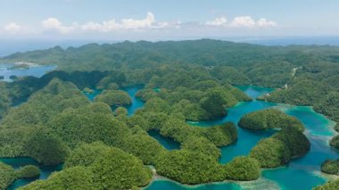 Güzel Yeşil Göl. Tropikal deniz suyu dokusu yaz tatili gibi yansıyor. Bucas Grande. Mindanao, Filipinler.