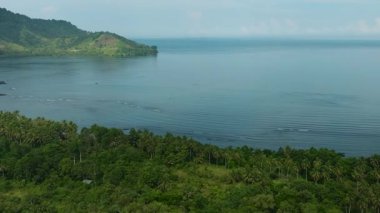 Mindanao kıyılarında yağmur ormanları ve hindistan cevizi ağaçları var. Filipinler. Mindanao. Seyahat kavramı.