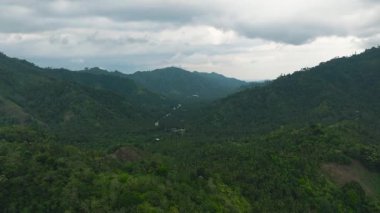 Tropikal adada dağ zirveleri ormanla kaplı bir dağ manzarası. Mindanao, Filipinler.