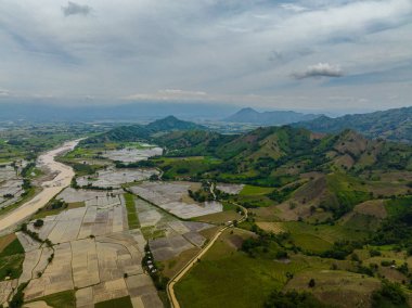 Filipinler 'deki tarım arazileri ve nehir kıyılarının havadan görünüşü. Mindanao..