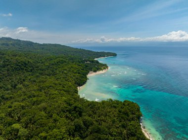 Yeşil ormanın yemyeşil olduğu tropik adanın havadan görünüşü. Kıyıdaki okyanus dalgaları ve gök mavisi su. Samal, Davao. Filipinler.