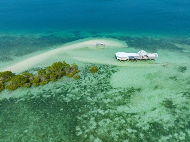 Kum yığını ve mangrov ağaçlarının drone görüntüsü. Kaybolan Ada. Samal, Davao. Filipinler.