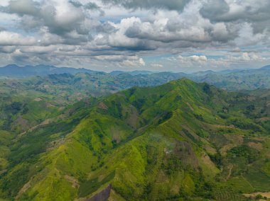 Filipinler 'de orman ve dağlar. Tropikal bitki örtüsü olan dağ yamaçları. Mindanao..