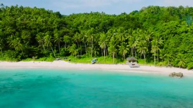 Hindistan cevizi ağaçlı plaj ve turkuaz deniz dalgalı beyaz kum. Carabao Adası. San Jose, Romblon. Filipinler.