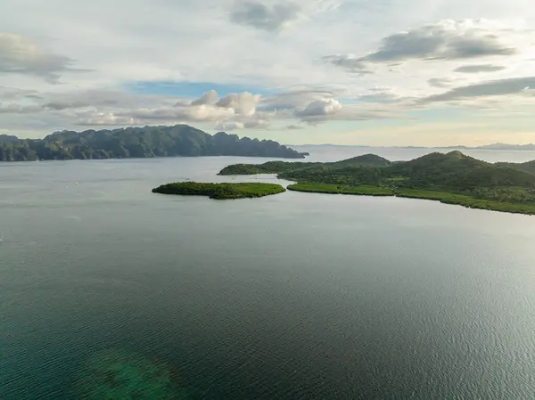 Coron Adaları ve Lajala, Coron 'daki mangrovlar. Palawan 'da. Filipinler.
