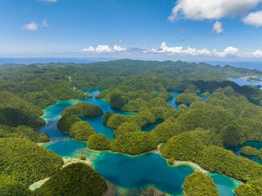Bucas Grande Adası üzerinde uçan hava aracı. Şeffaf turkuaz deniz suyu, doğal arka plan. Surigao del Norte. Mindnao, Filipinler.