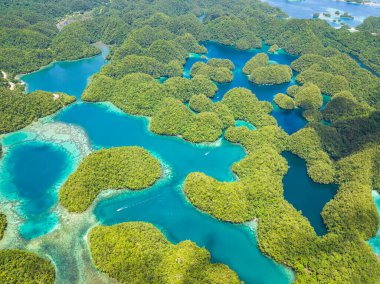 Yağmur ormanları tepeleri ve göl suları bulutlu. Sohoton Koyu. Bucas Grande Adası. Mindanao, Filipinler.