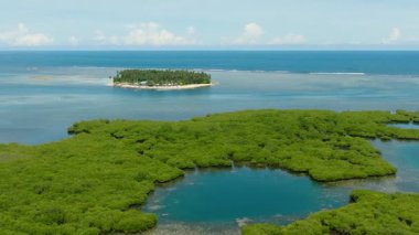 Tropik mangrovlar ve turkuaz göller. Mavi gökyüzü ve bulutlar. Deniz Burnu. Mindanao, Filipinler. Hava görünümü.