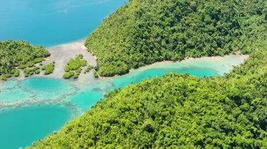 Kıyı sahili olan dağ ormanlarının havadan görünüşü. Yeşil su gölü ve mercan. Mindanao, Filipinler.
