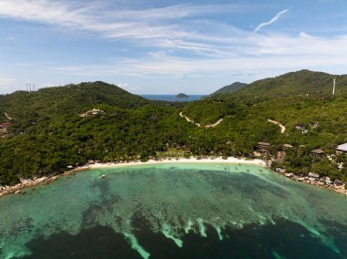 Bereketli yeşillik ve dağınık tekneli turkuaz sularla çevrili pitoresk bir tropikal koy. Tayland, Koh Tao.