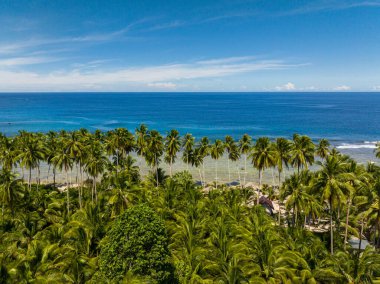 Kumsaldaki hindistan cevizi palmiyeleri. Mavi gökyüzü ve bulutlar. Mindanao, Filipinler. Deniz Burnu.