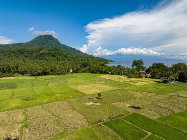 Kıyı bölgesinin yakınındaki Mountainside tarım arazisi. Mavi gökyüzü ve bulutlar. Camiguin Adası. Filipinler.