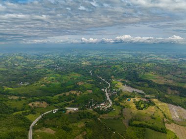 Filipinler 'deki dağ yolu ve yeşil orman. Midnanao..